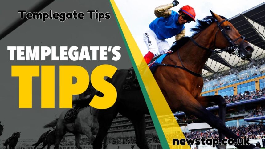 Templegate Tips