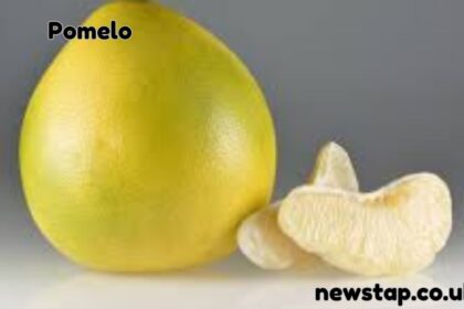 Pomelo