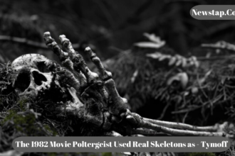 The 1982 Movie Poltergeist Used Real Skeletons as - Tymoff