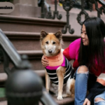 Andrea Razavi Chihuahua