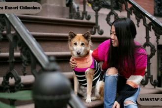 Andrea Razavi Chihuahua