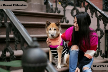 Andrea Razavi Chihuahua