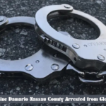 Carmine Damario Nassau County Arrested from Glen Head