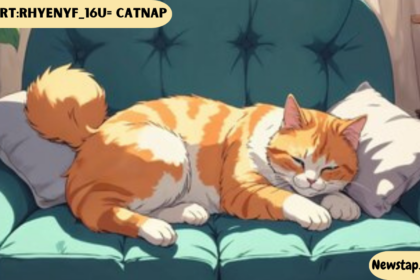 Fanart:Rhyenyf_16u= Catnap