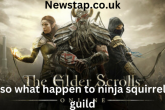 eso what happen to ninja squirrels guild