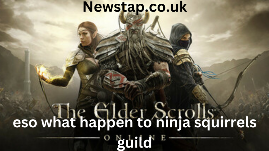 eso what happen to ninja squirrels guild