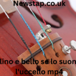 il violino e bello se lo suono con l'uccello mp4