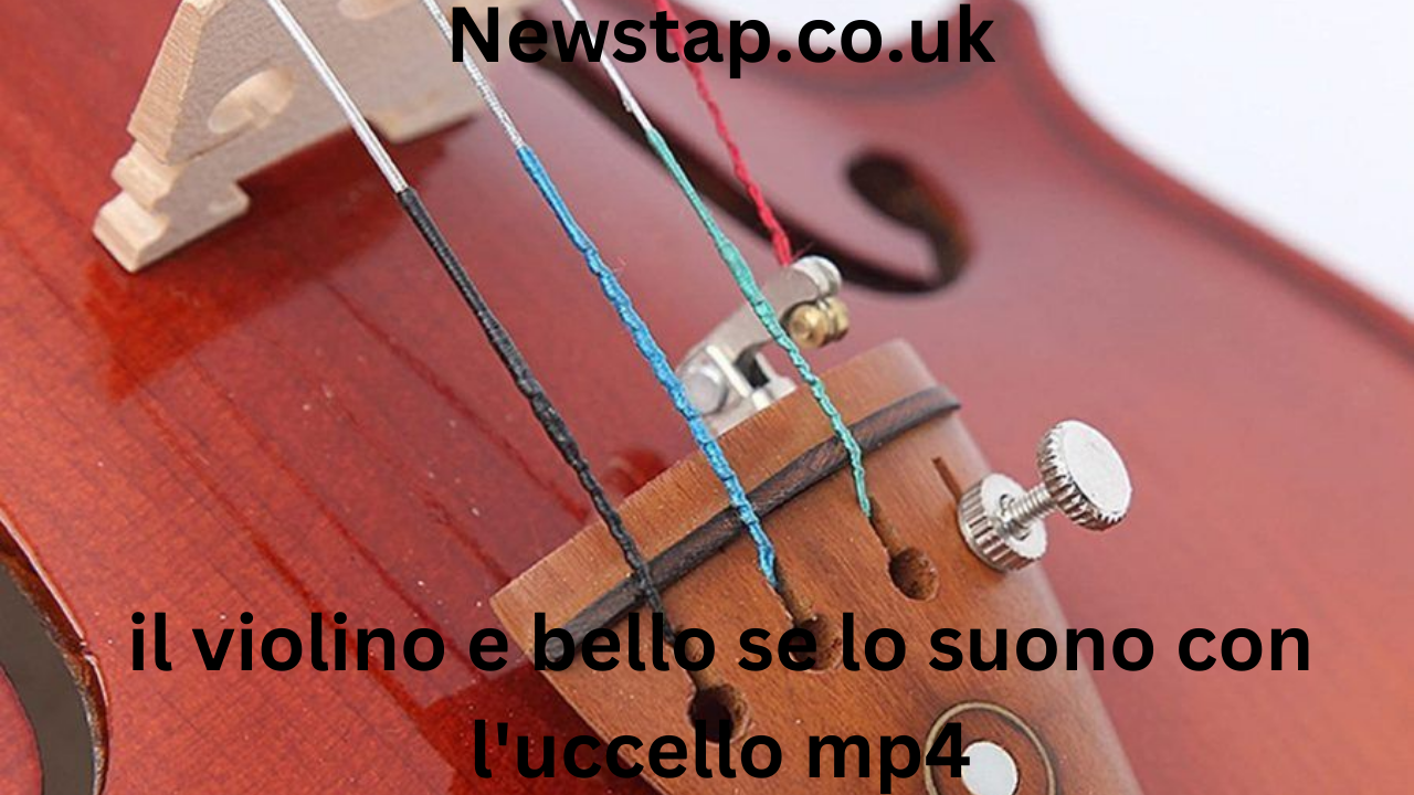 il violino e bello se lo suono con l'uccello mp4