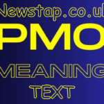 pmo meaning text