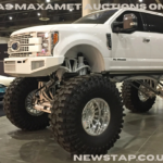texas maxamet auctions online