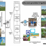 who owns precision irrigation and pump company