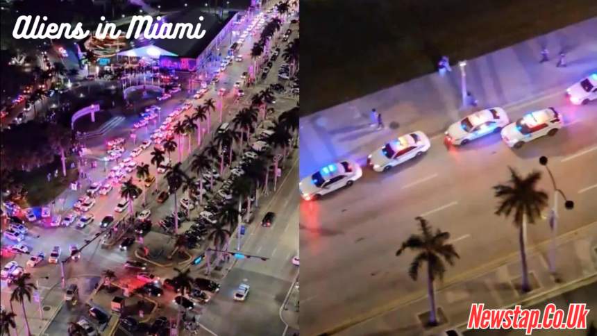 Aliens in Miami