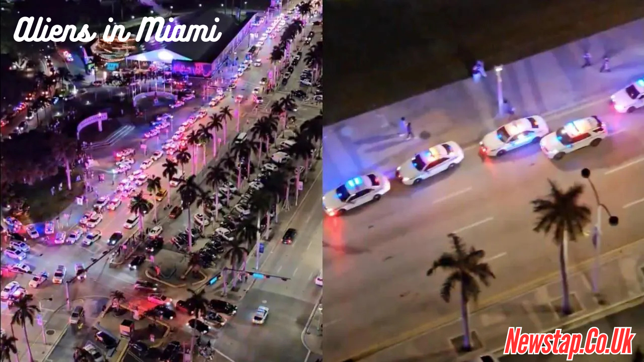 Aliens in Miami