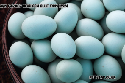 adams farmer heirloom blue eggs 12524