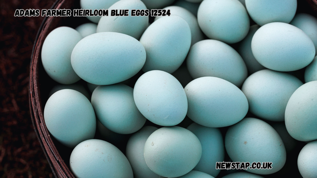 adams farmer heirloom blue eggs 12524