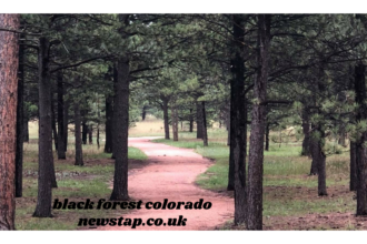black forest colorado