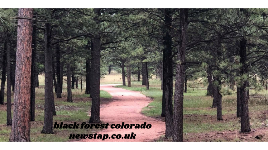 black forest colorado