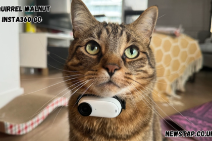 squirrel walnut insta360 go